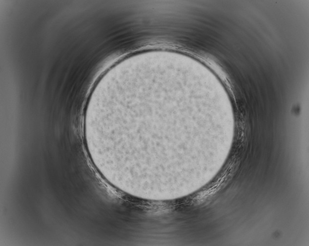 X0000099960807200806201336