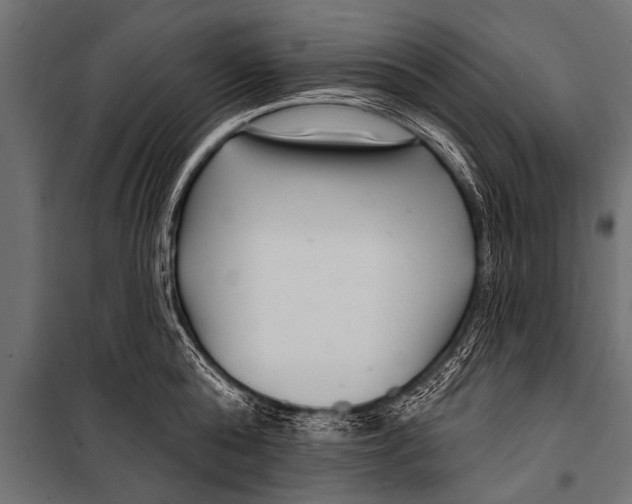 X0000099960808200806201336