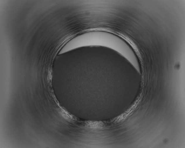 X0000099960809200806201336