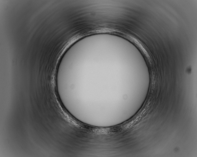 X0000099960810200806201336