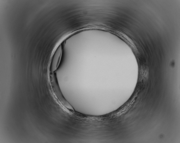 X0000099960812200806201336