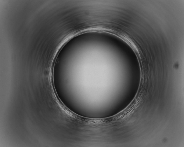 X0000099960813200806201336