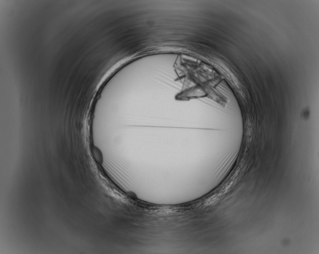 X0000099960814200806201336