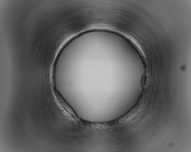 X0000099960815200806201336