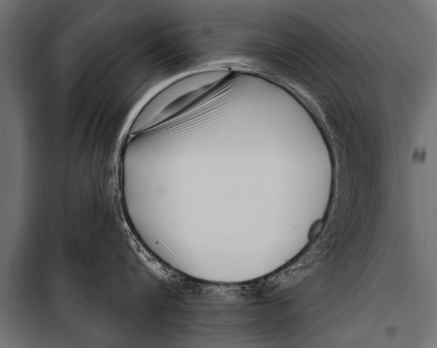 X0000099960816200806201336
