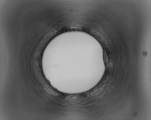 X0000099960817200806201335