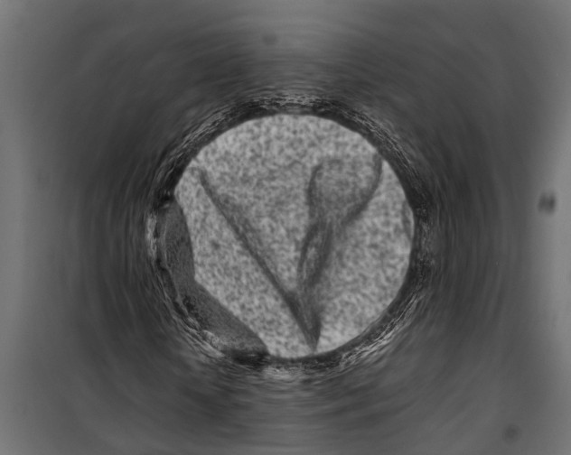 X0000099960818200806201335