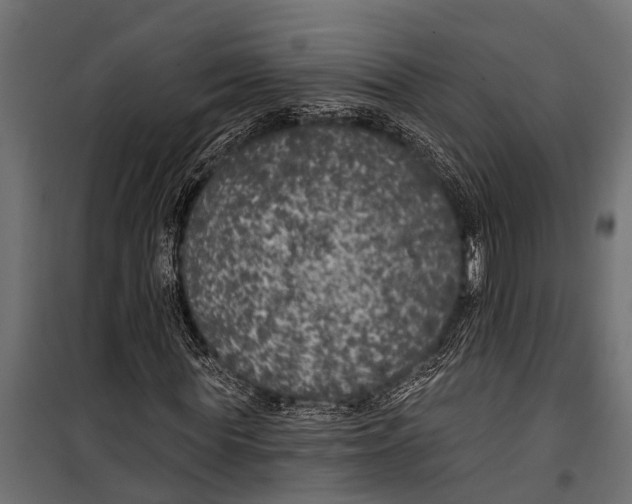 X0000099960819200806201335