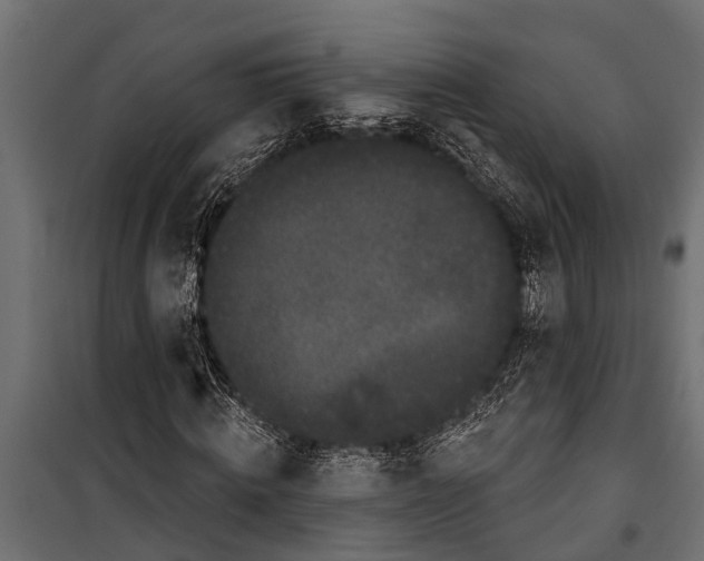 X0000099960820200806201335