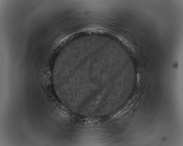 X0000099960822200806201335