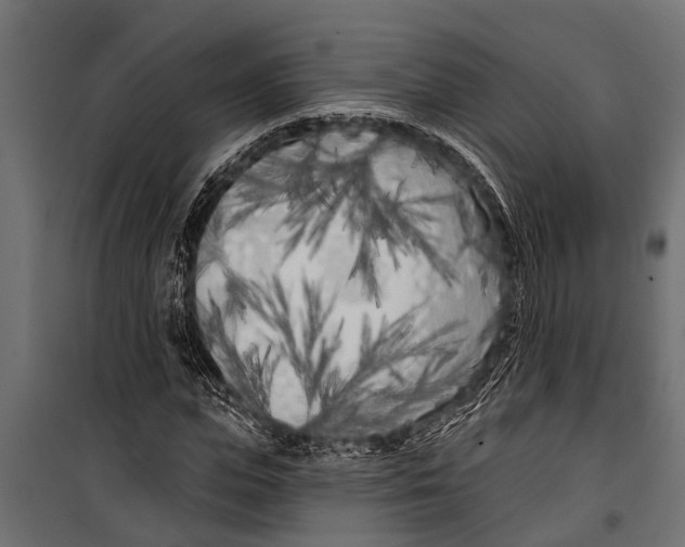 X0000099960823200806201335