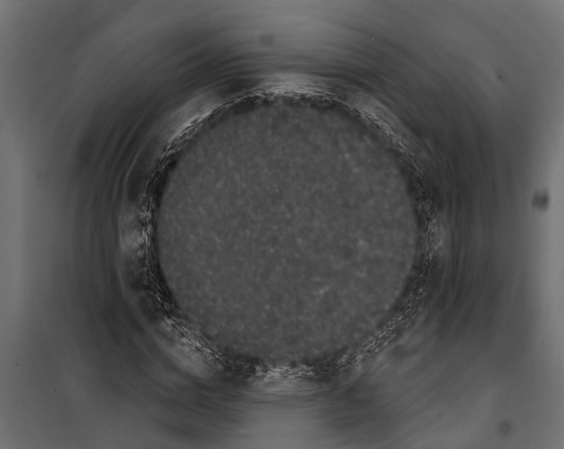 X0000099960824200806201335