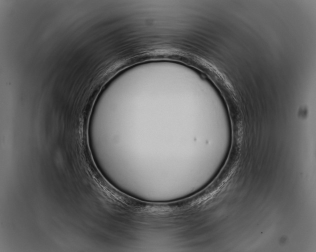 X0000099960825200806201335