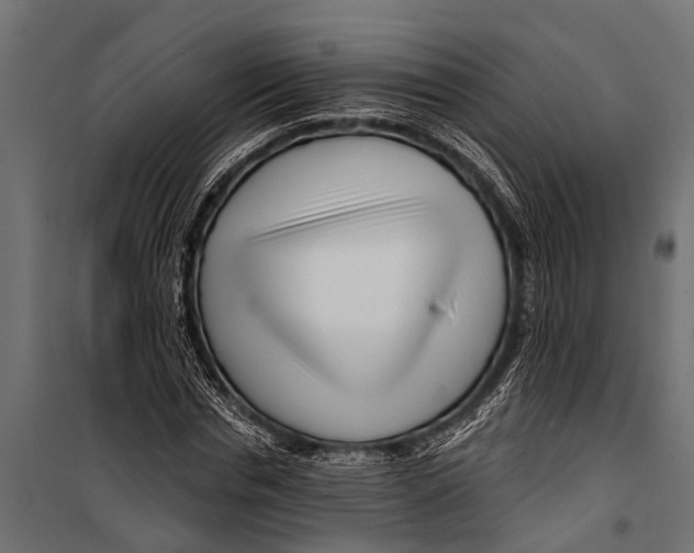 X0000099960826200806201335