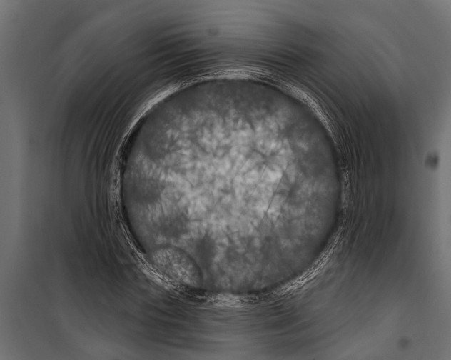 X0000099960827200806201335