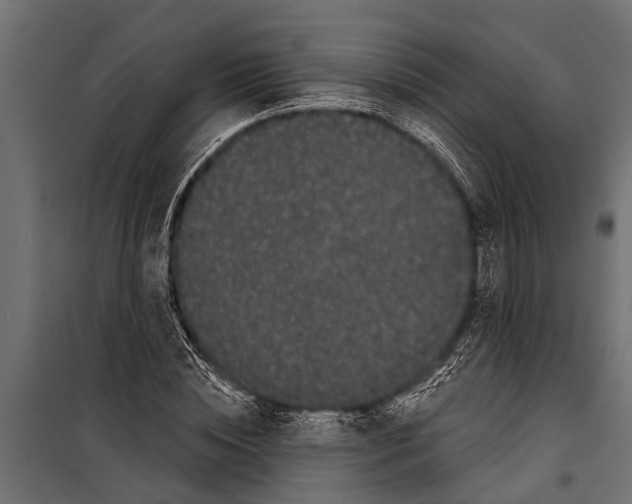 X0000099960828200806201335