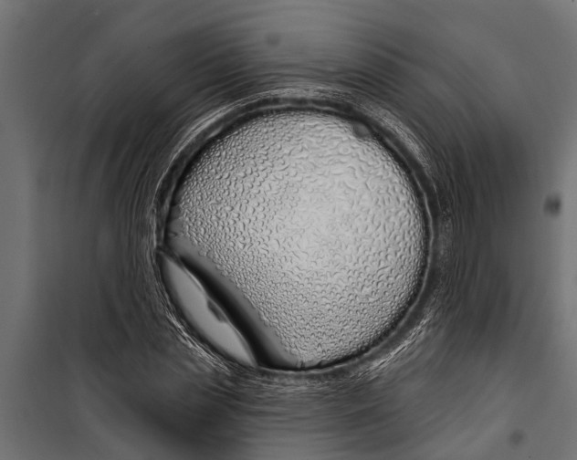 X0000099960829200806201335