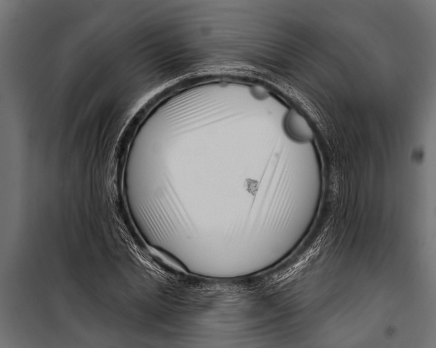 X0000099960830200806201335