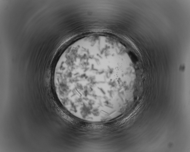 X0000099960831200806201335