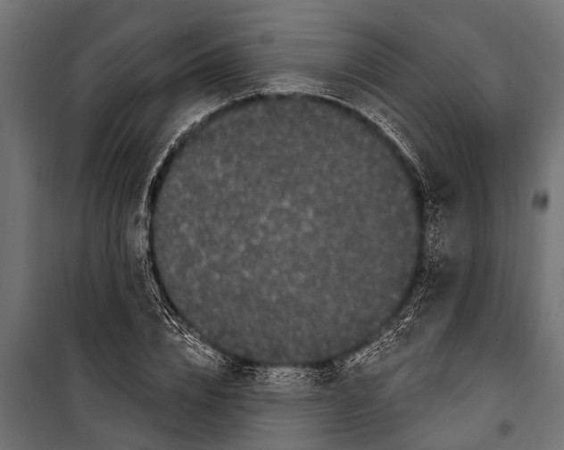 X0000099960832200806201335