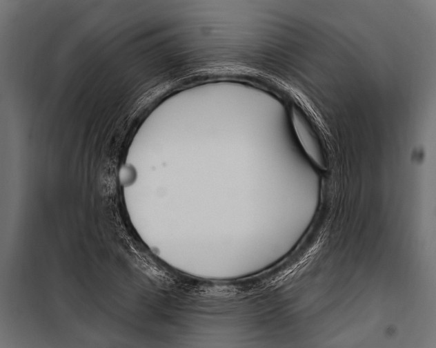 X0000099960833200806201335