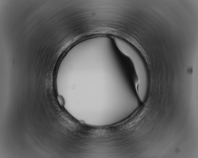 X0000099960834200806201335