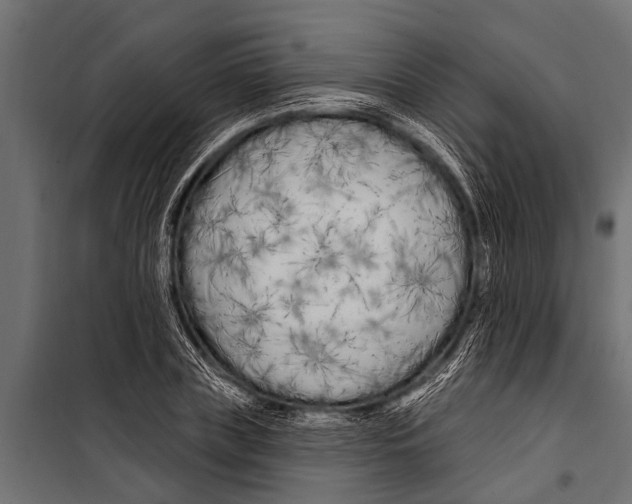 X0000099960835200806201335
