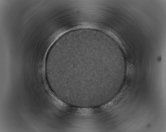 X0000099960836200806201335