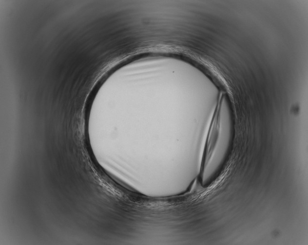 X0000099960837200806201335