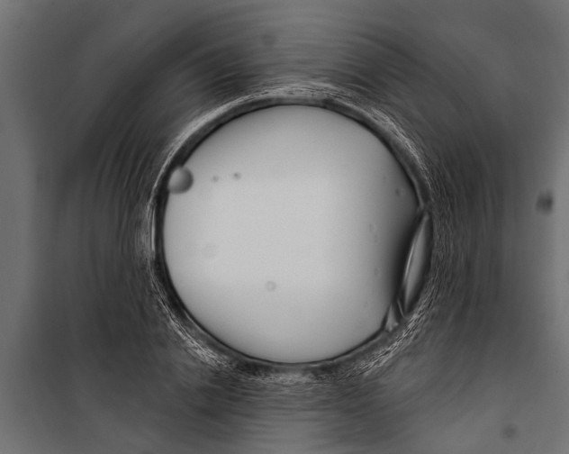X0000099960838200806201335