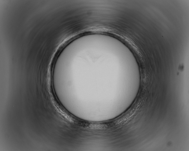 X0000099960840200806201335