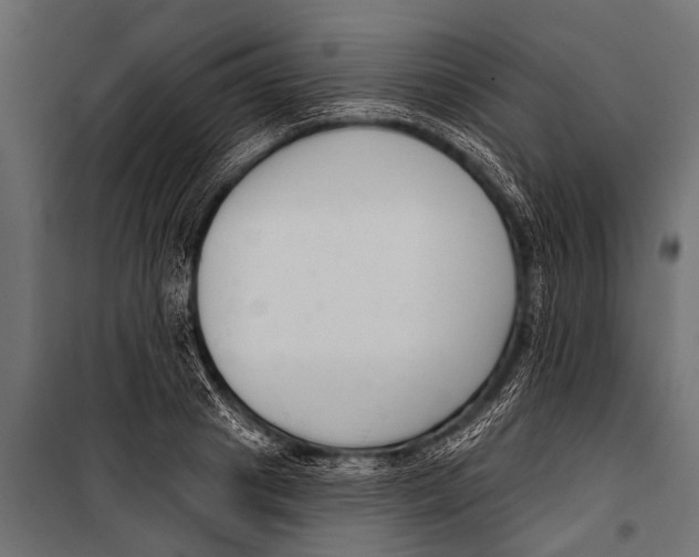 X0000099960841200806201335