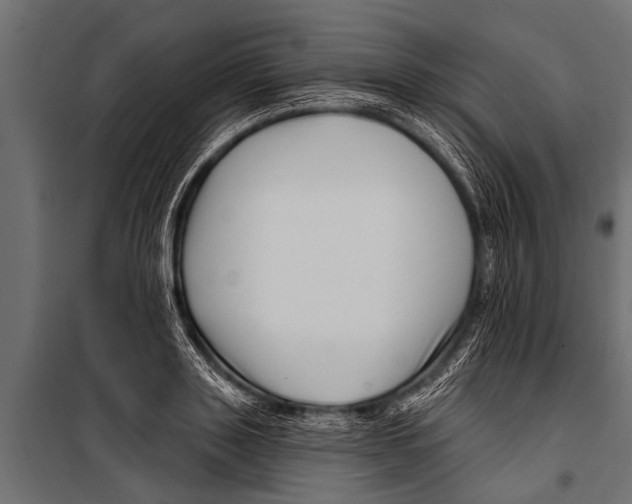 X0000099960843200806201335