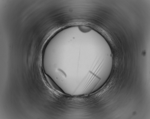 X0000099960844200806201335