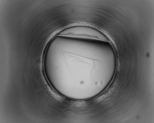 X0000099960845200806201335