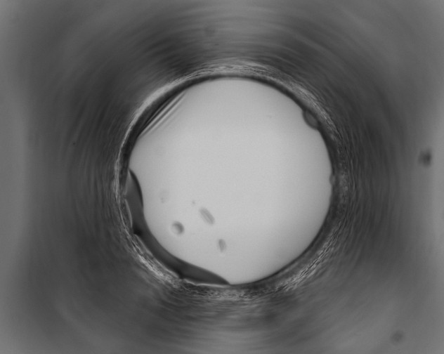 X0000099960846200806201335