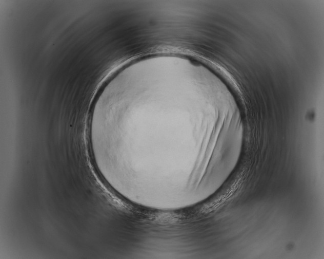 X0000099960847200806201335