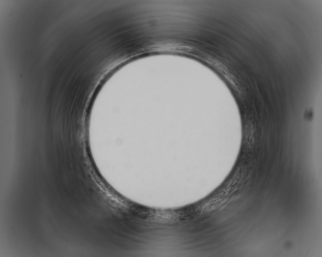 X0000099960848200806201335