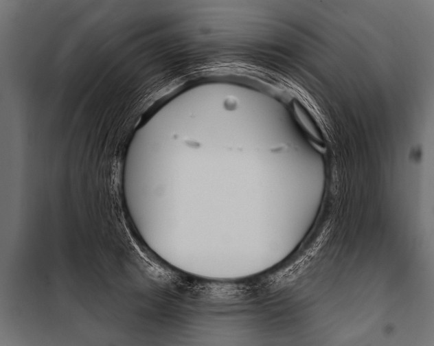 X0000099960849200806201335