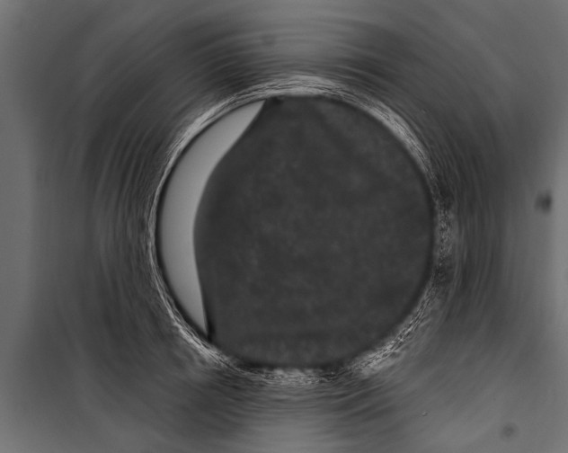 X0000099960850200806201335