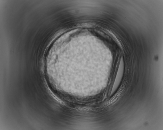 X0000099960851200806201335