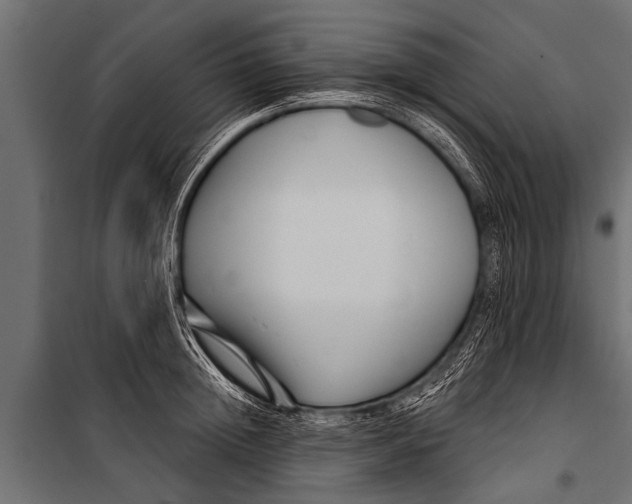 X0000099960852200806201335