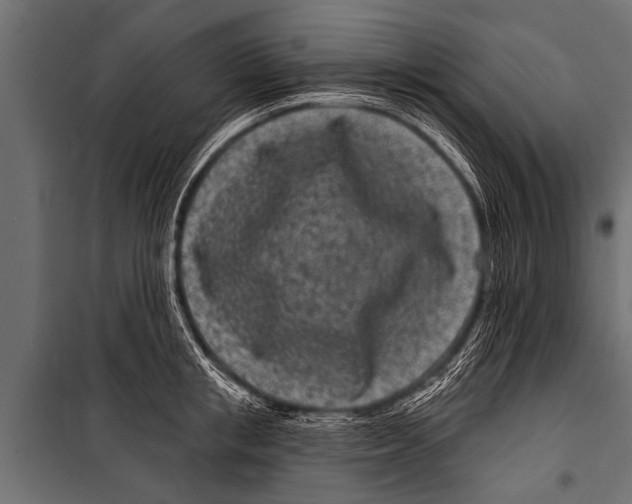 X0000099960853200806201335