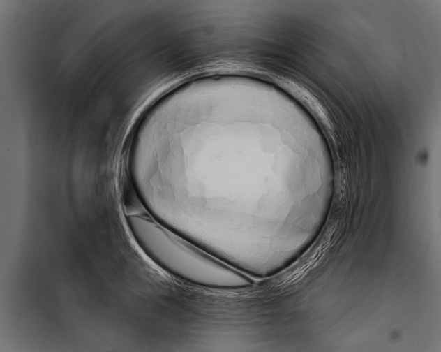 X0000099960855200806201335