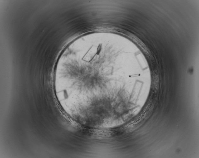 X0000099960856200806201335