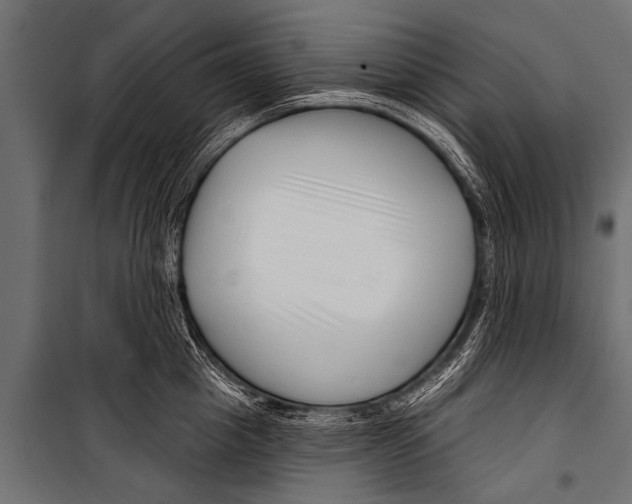 X0000099960857200806201335