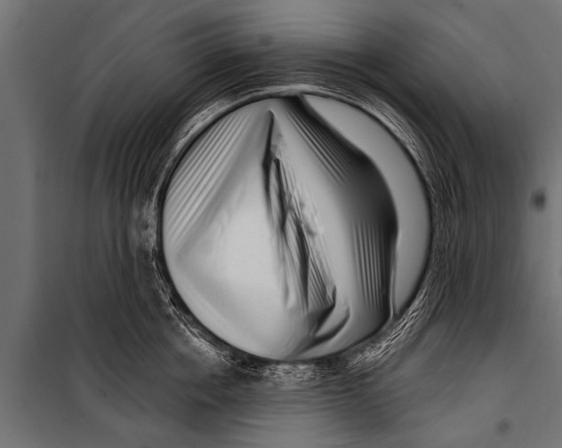 X0000099960858200806201335