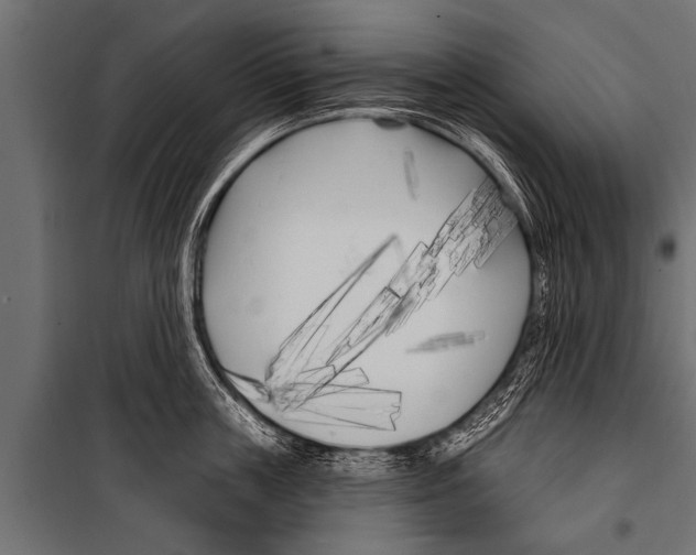 X0000099960859200806201335