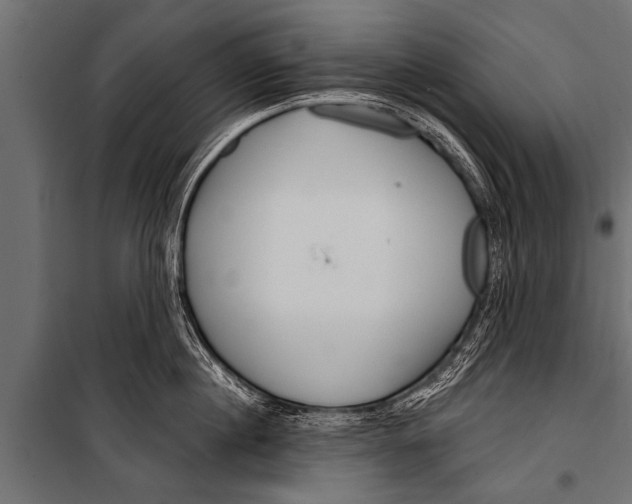 X0000099960860200806201335