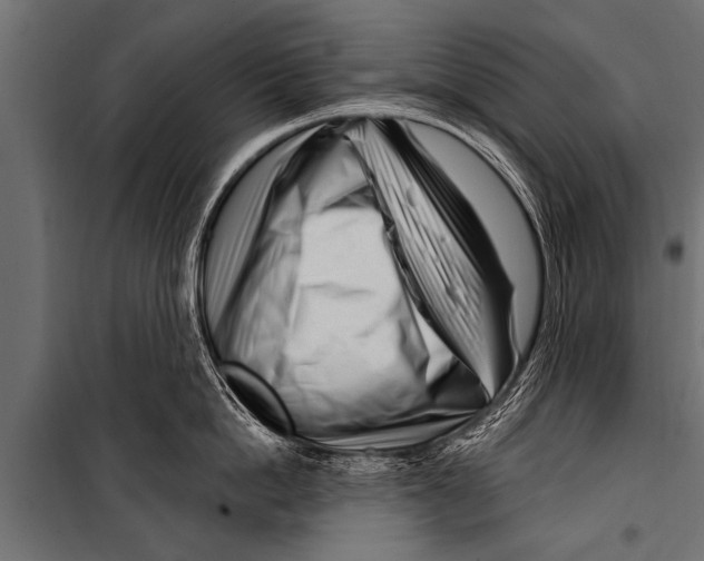 X0000099960862200806201335